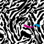 BT-ANIMAL-24.jpg