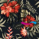 TROPICAL1002.jpg